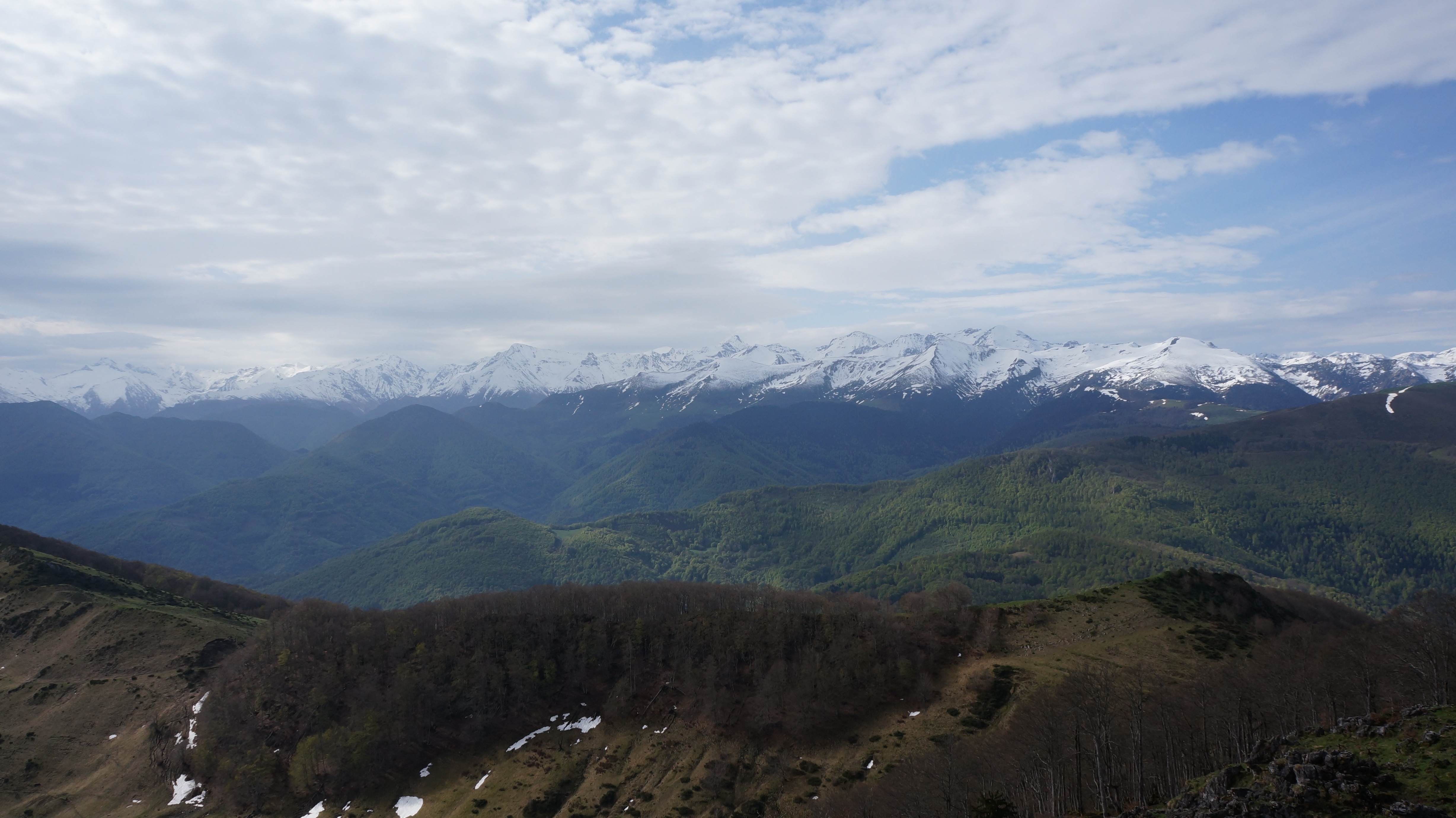 Pic de la Paloumère (1608 m) et crêtes de Cornudère depuis le col de Portet d’Aspet