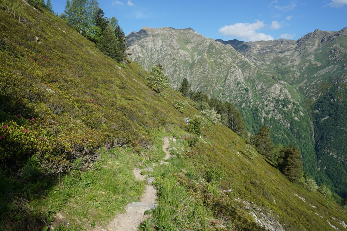 Avant l'étang des Bésines
